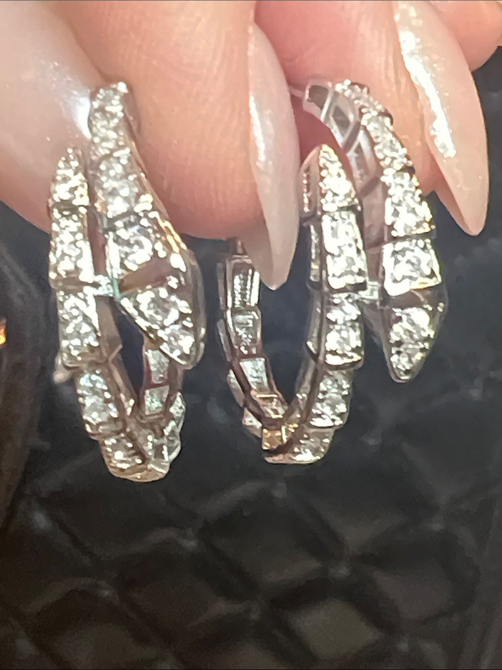 Silver Snake Hoop Earrings with Crystal Accents